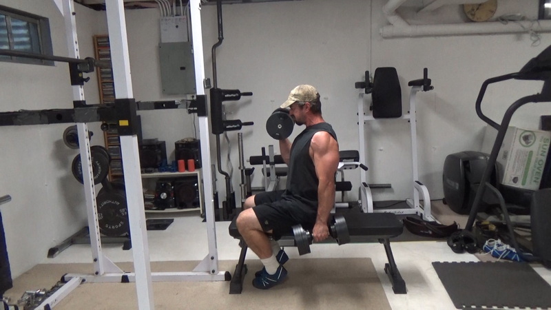 Seated Bench Clamp Strict Dumbbell Curls