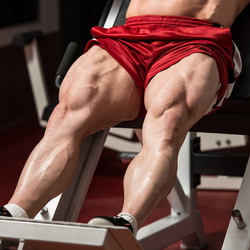 Quadricep Exercises