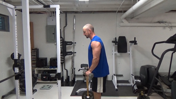 Band-Dumbbell-Plate Lateral Raises Start Side