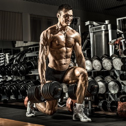Workouts For Getting Ripped